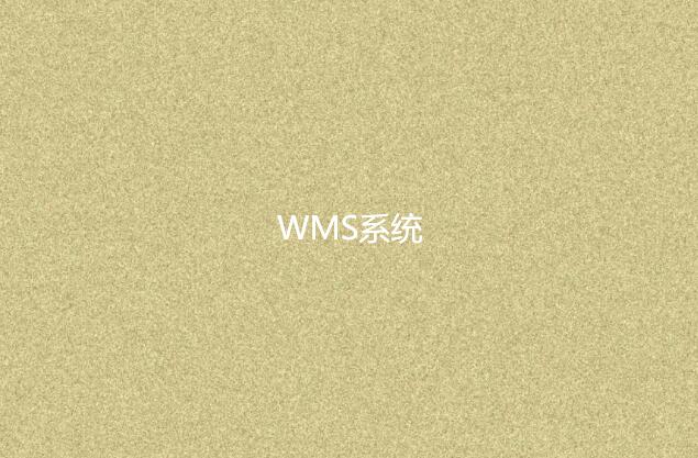 WMS系统适合小型企业吗？
